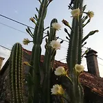 A Casina Da Eiravella * Hio