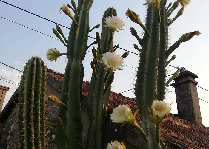 A Casina Da Eiravella * 하이오